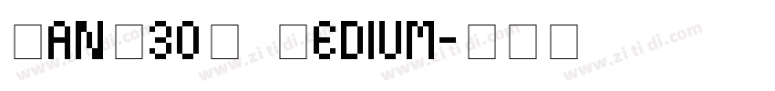 EanP30L Medium字体转换